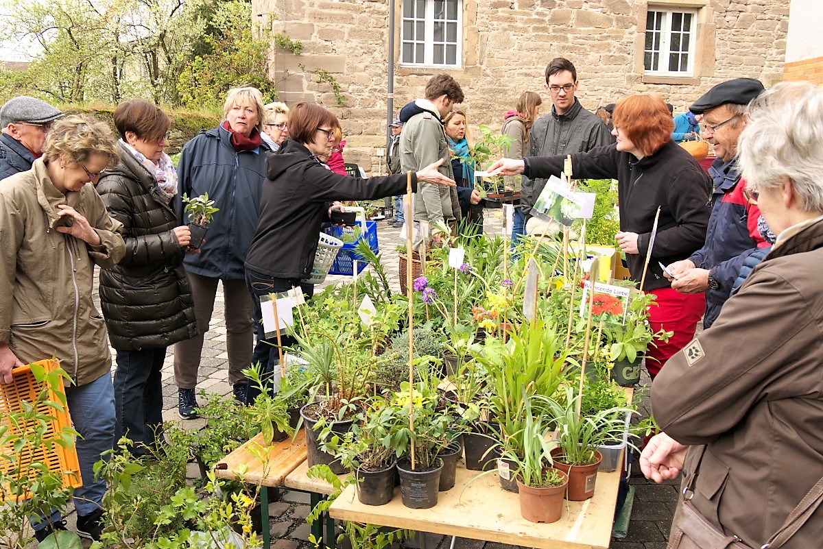 Hobbygärtner und Pflanzenfreunde treffen sich am 28. April wieder in Borgentreich.