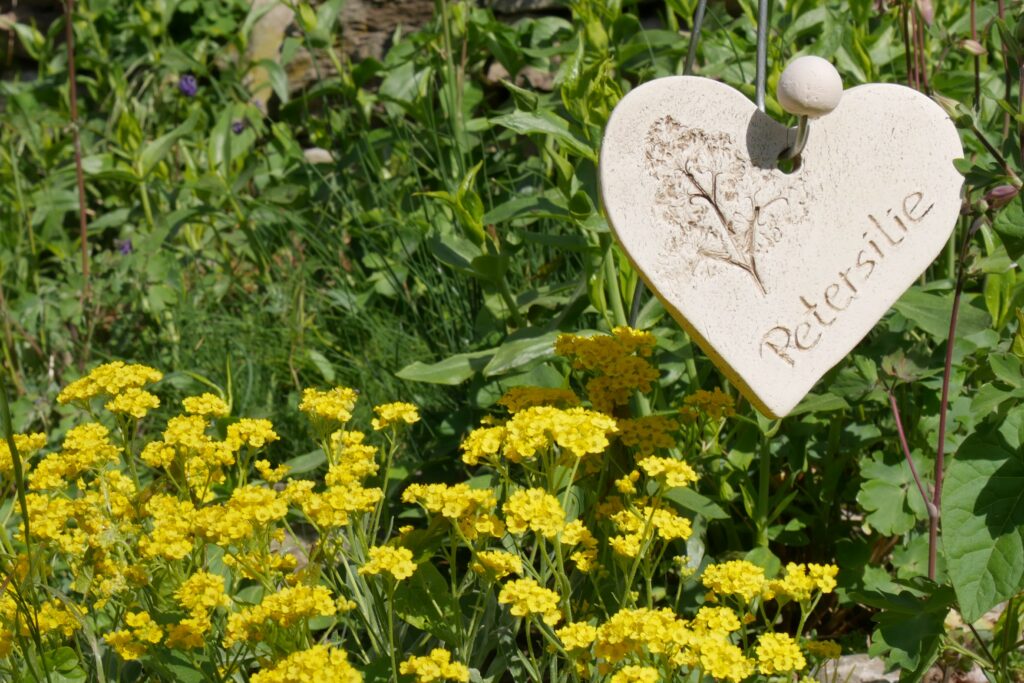 Gartedeko in Herzform mit der Aufschrift Petersilie und gelbe Pflanzen.