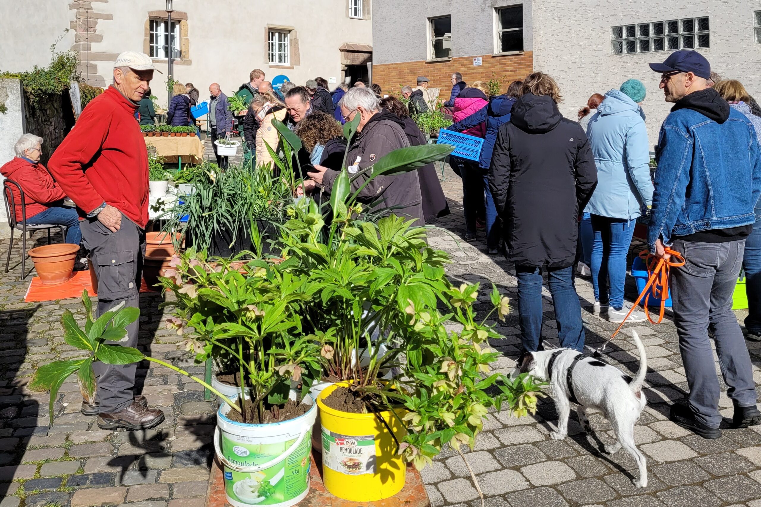 Straße "Zur Specke" mit Besuchern des Pflanzenflohmarkts