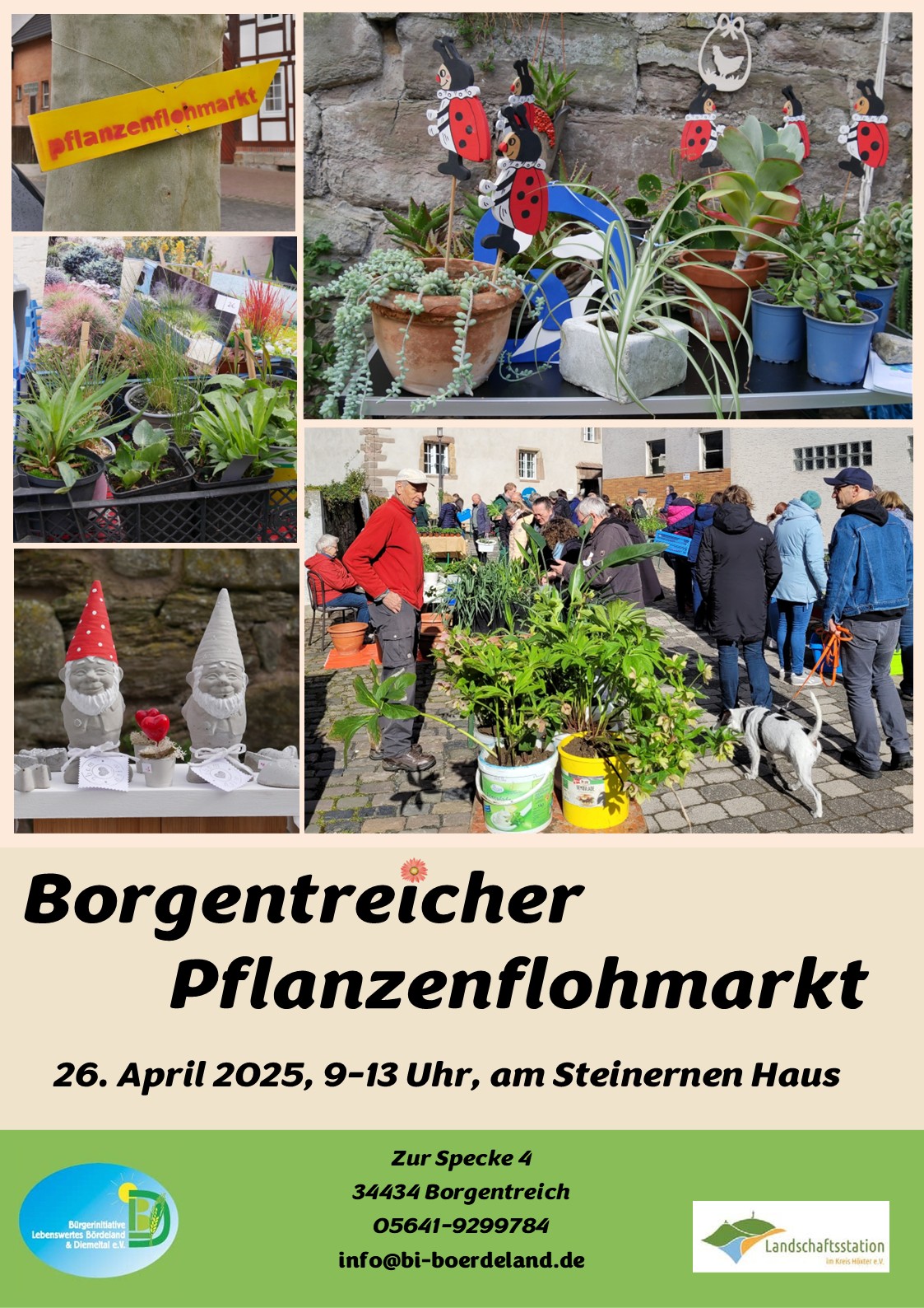 Plakat mit Fotos vom Borgentreicher Pflanzenflohmarkt.
